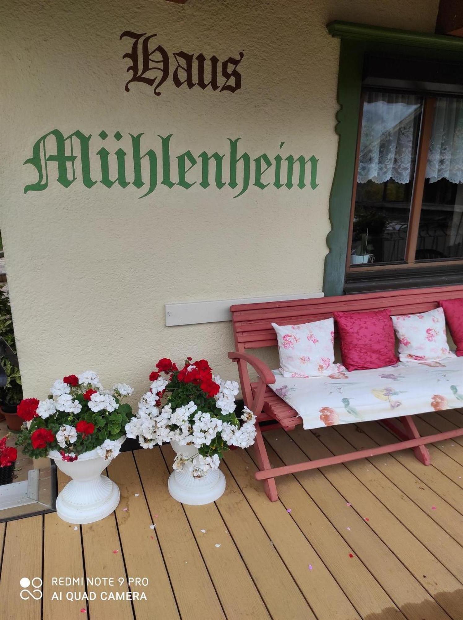 シュヴェンダウ Haus Muehlenheimヴィラ エクステリア 写真