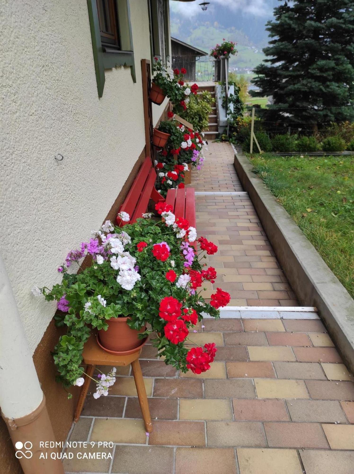 シュヴェンダウ Haus Muehlenheimヴィラ エクステリア 写真